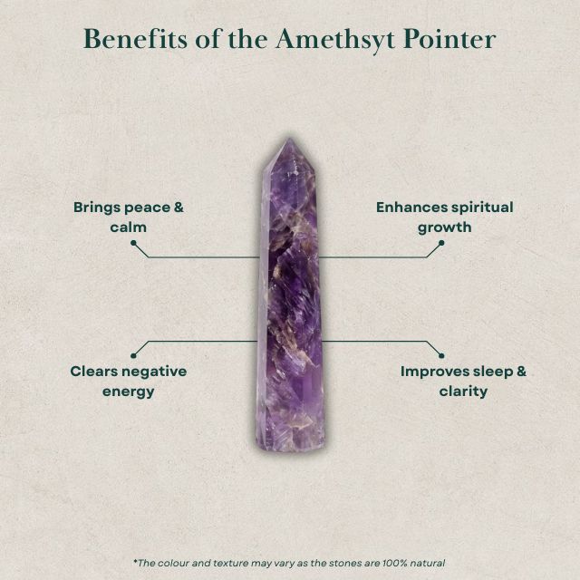 AstroLucrum Amethyst Pointer