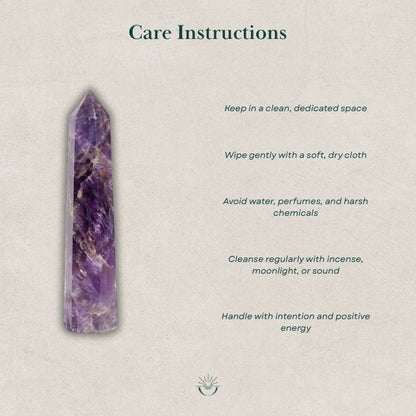 AstroLucrum Amethyst Pointer