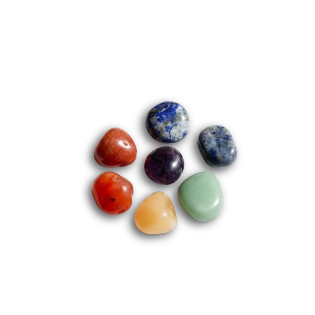 AstroLucrum Vastu Combo